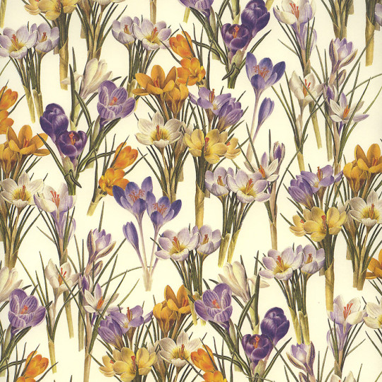 Crocus Flowers Italian Paper ~ Leonardo Communication